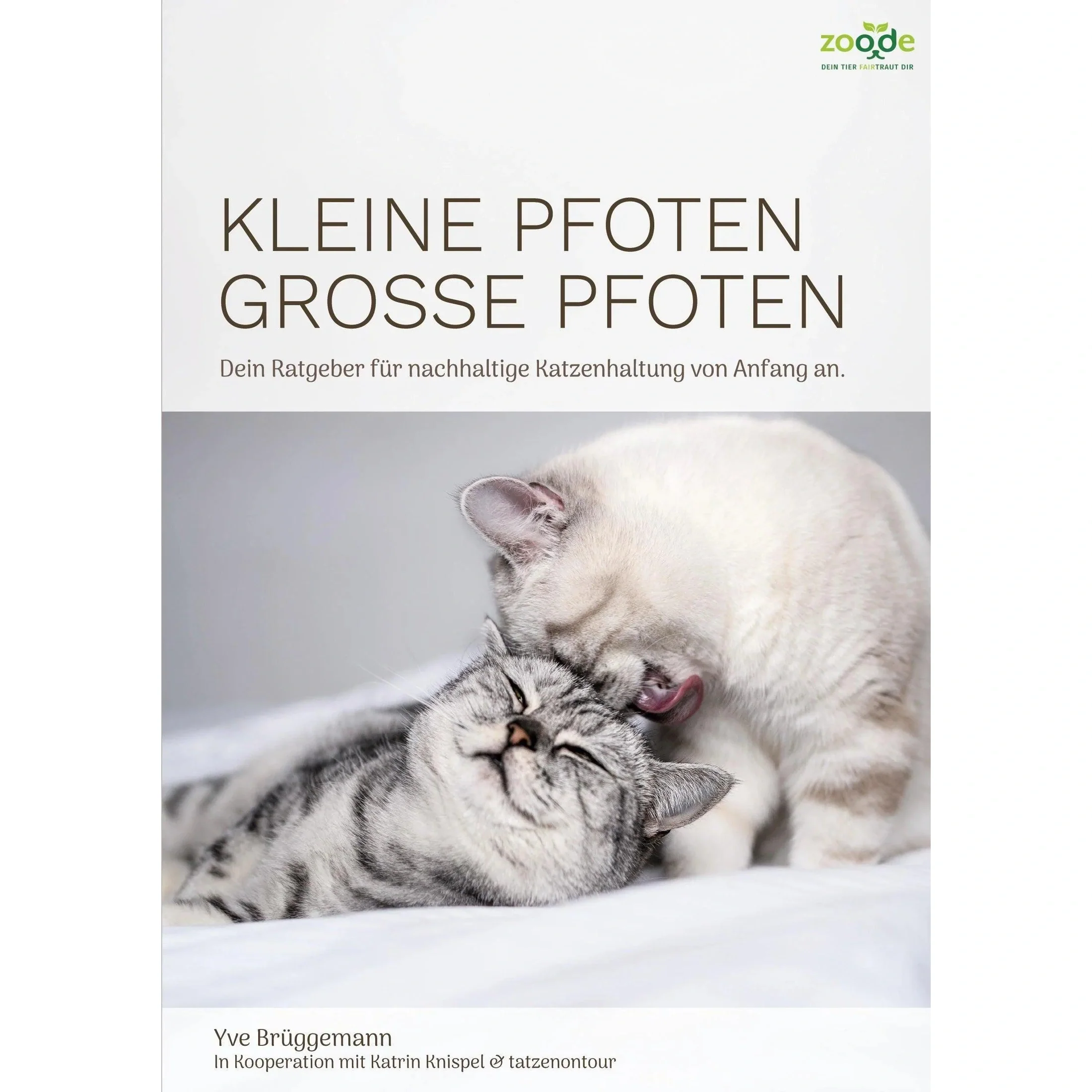 Vorschaubild 1