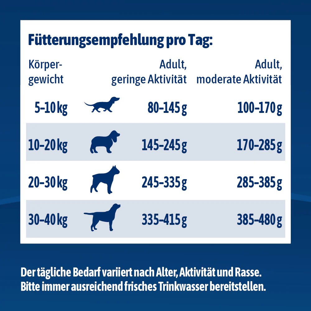 Vorschaubild 9