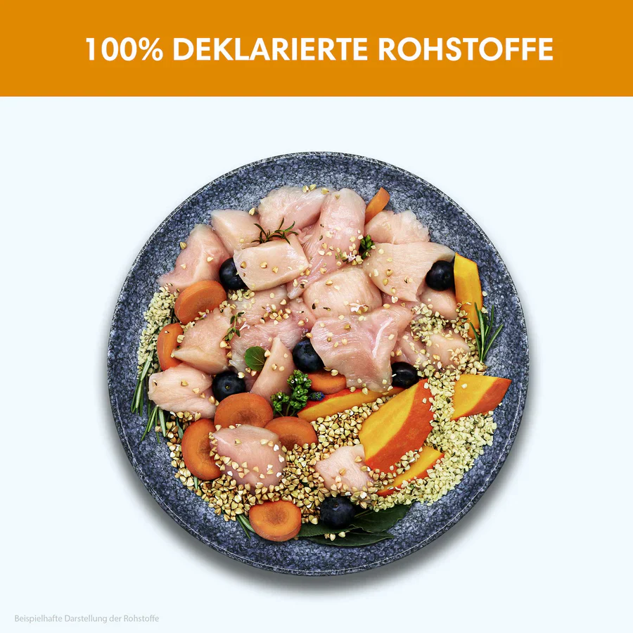 Vorschaubild 3