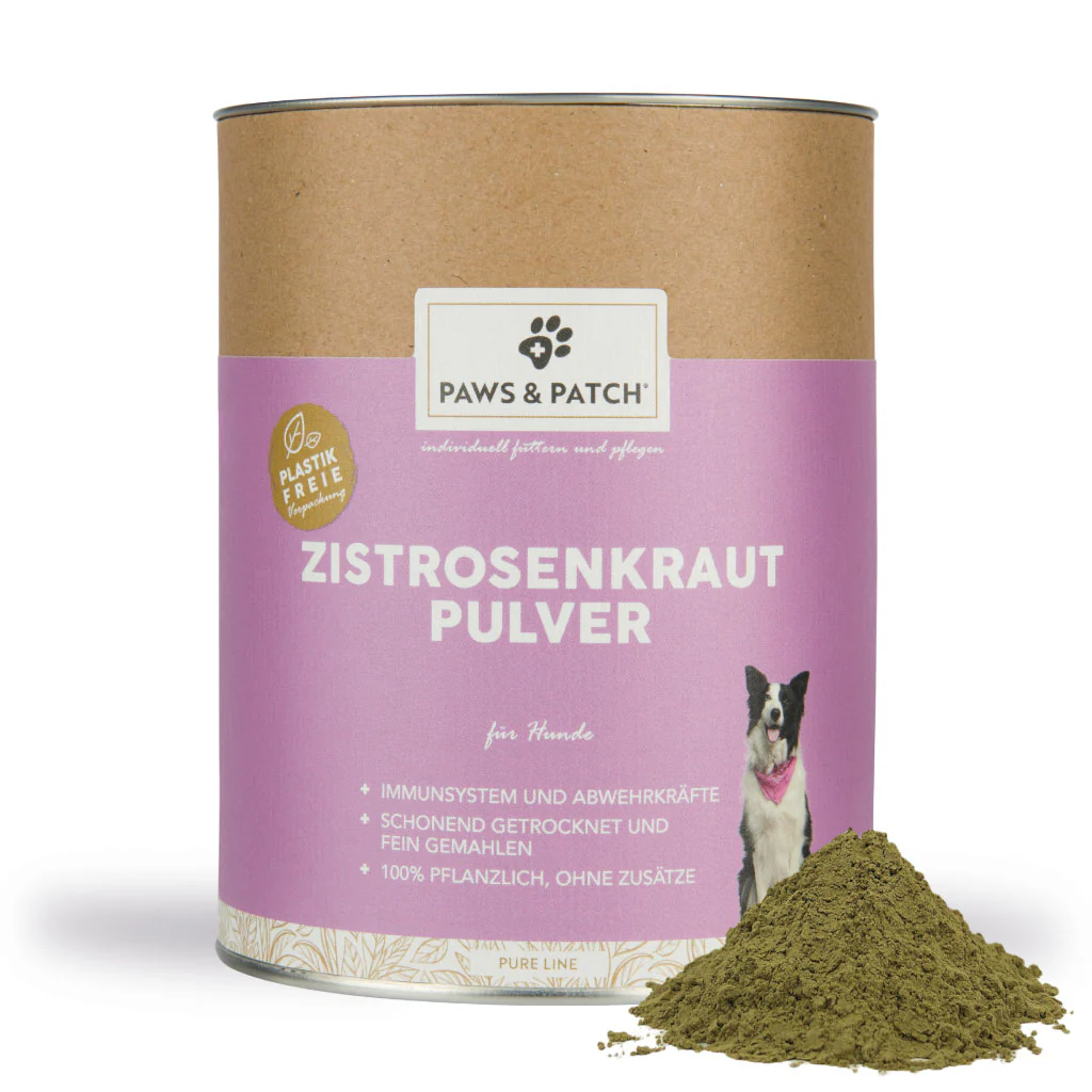Vorschaubild 2