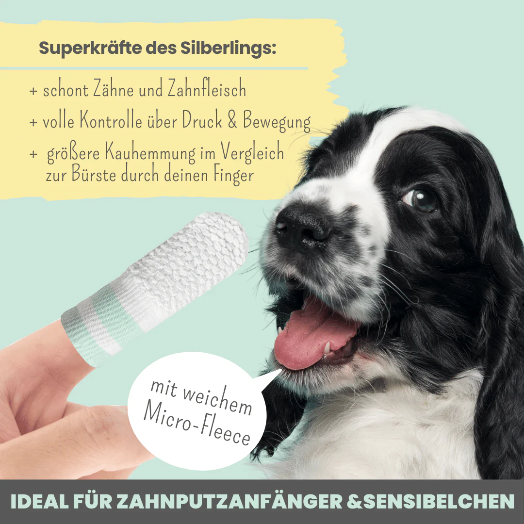 Vorschaubild 4