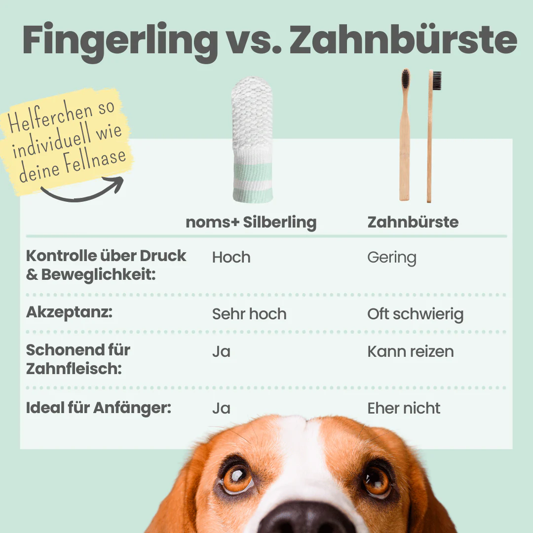 Vorschaubild 5