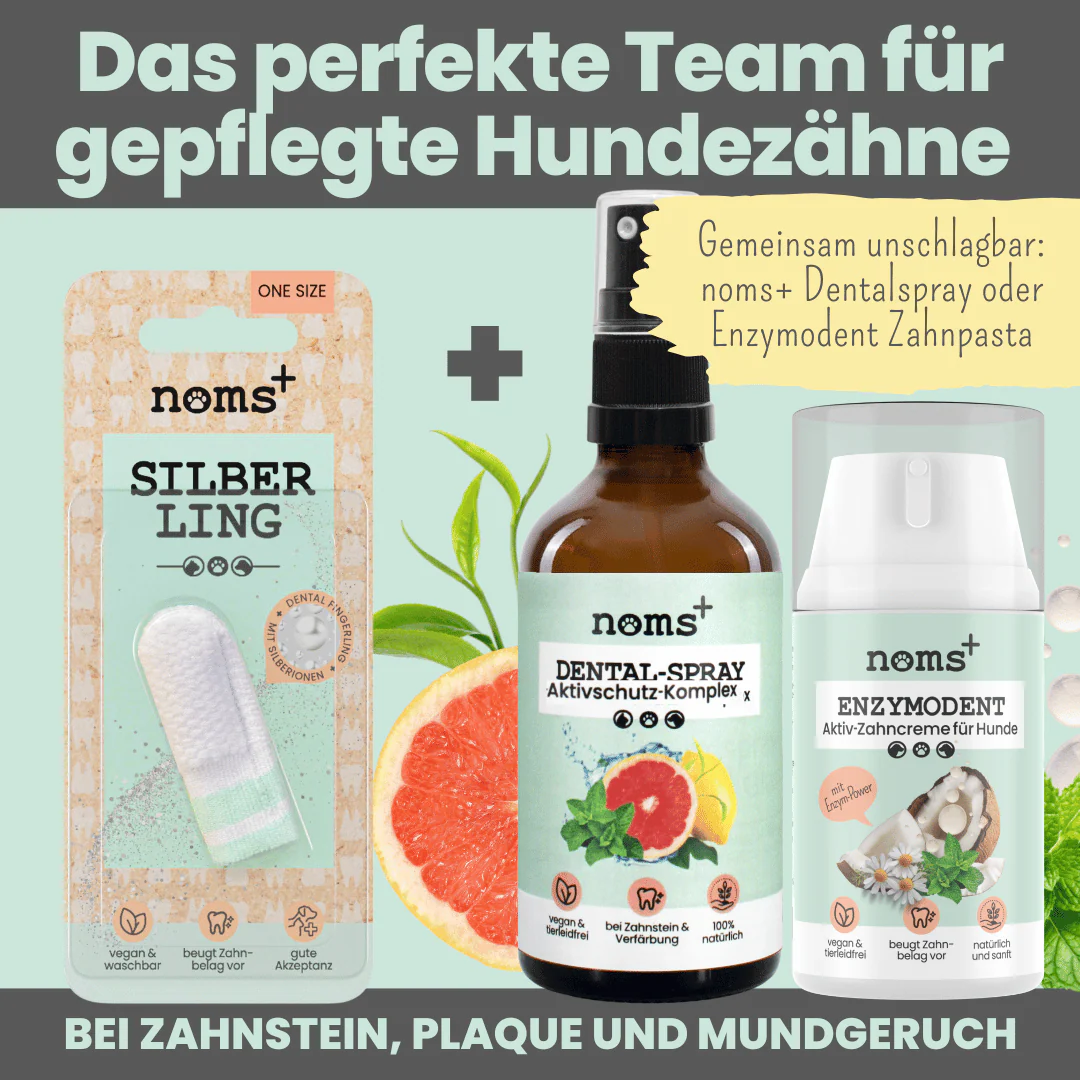 Vorschaubild 6