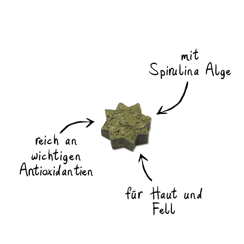 Vorschaubild 4