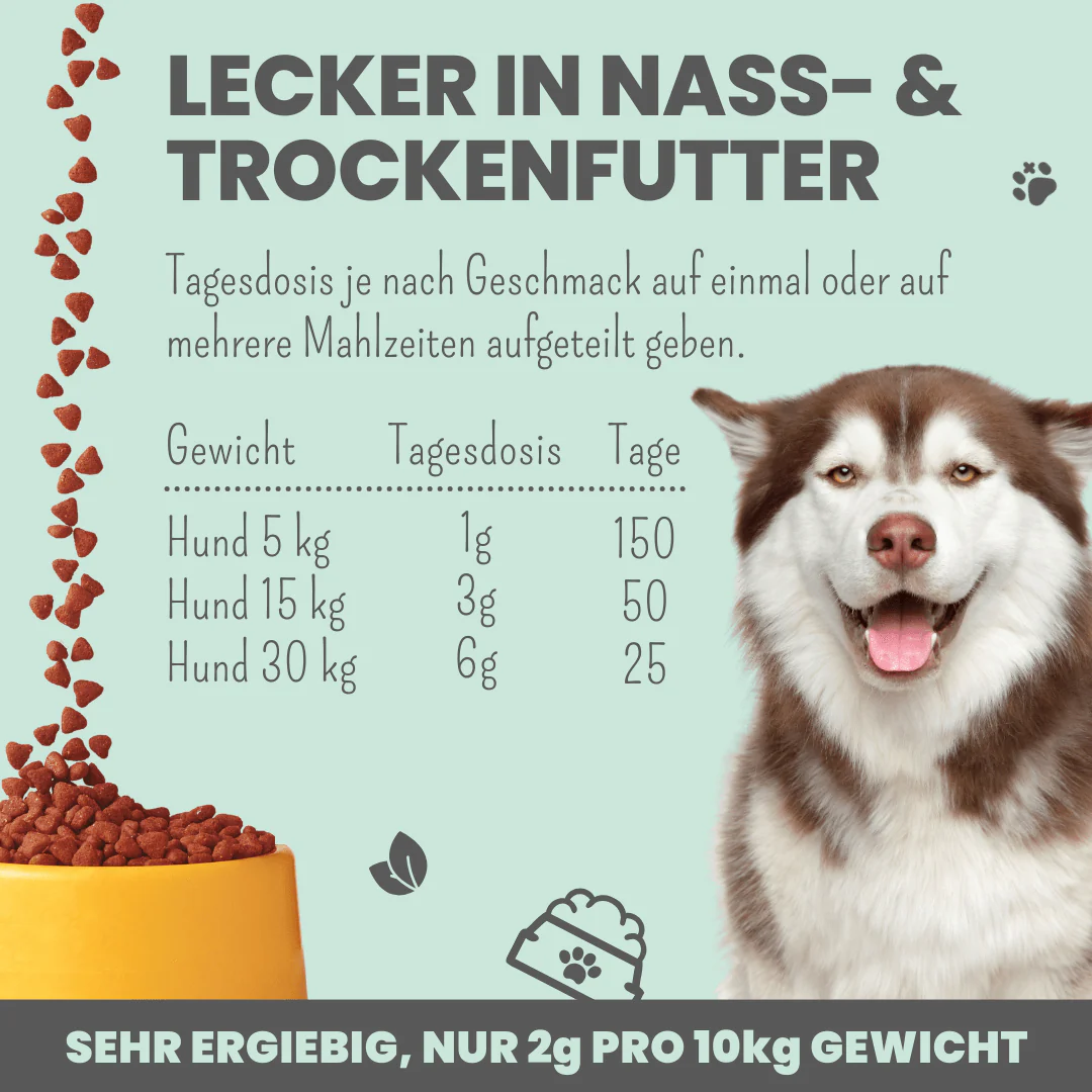 Vorschaubild 5