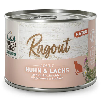 Katze Angebot