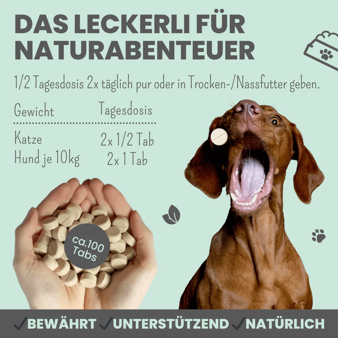 Vorschaubild 5