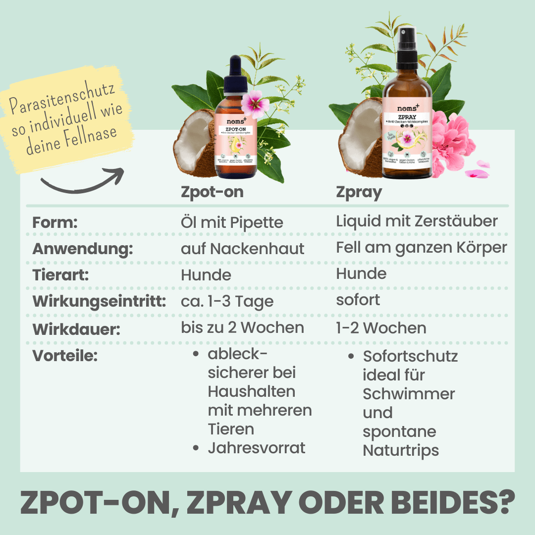 Vorschaubild 6